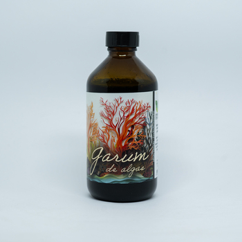 Garum de algas